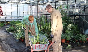BVJ im Fachbereich Zierpflanzenbau
