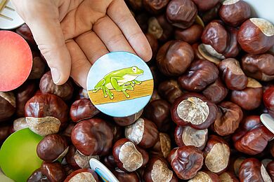 Eine Hand hält ein Plättchen mit der Abbildung eines Frisches über einer Kiste mit Kastanien